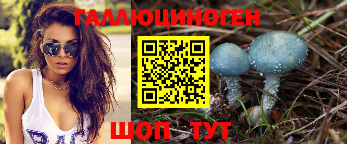 Холмск  Псилоцибиновые грибы GOLDEN TEACHER  Вход с VPN 